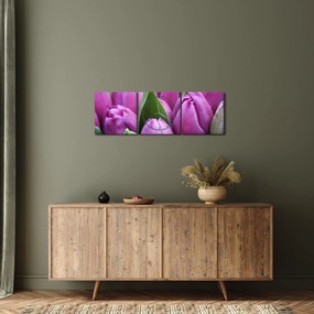 Obraz - kwiaty tulipanów (z zegarem) (90x30 cm)