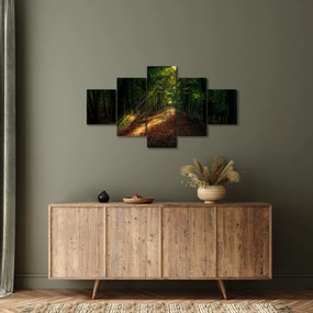Obraz leśnej ścieżki (125x70 cm)