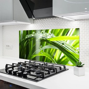 Panel nad blat kuchenny Perlista Rosa na Trawie