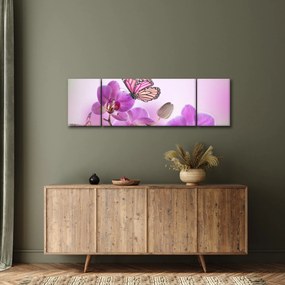 Obraz - Motyl na kwiatach orchidei, liliowy (170x50 cm)