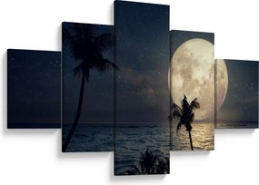 Obraz - Plaża przy pełni księżyca (125x70 cm)