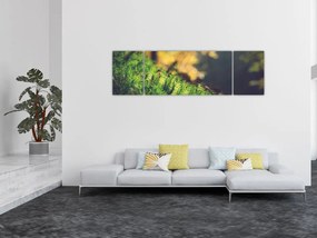 Obraz mchu z grzybem (170x50 cm)