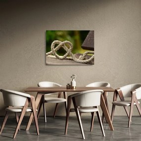 Obraz na szkle - serce z liny (70x50 cm)