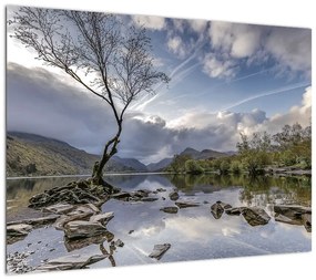 Obraz na szkle - rzeka z drzewem (70x50 cm)