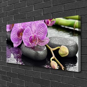 Obraz Canvas Storczyk Zen Orchidea Spa