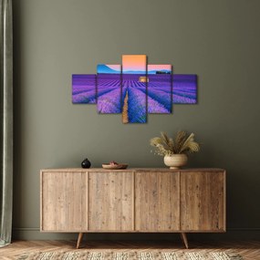 Obraz - Lewndowe pole (125x70 cm)