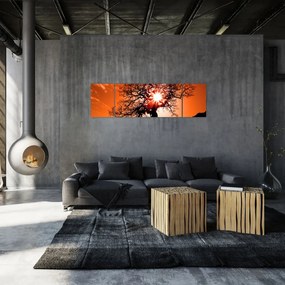 Obraz - Dąb o zachodzie słońca (170x50 cm)