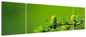 Obraz zielonej szyszki (170x50 cm)