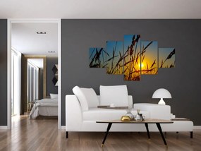 Obraz - Zachód słońca na łące (125x70 cm)