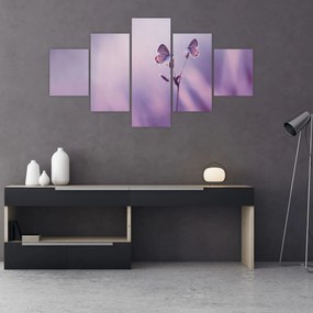 Obraz - Fioletowe motyle (125x70 cm)