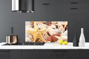 Panel Szklany Kompozycja Muszli na Brzegu