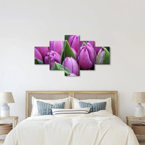 Obraz - kwiaty tulipanów (125x70 cm)