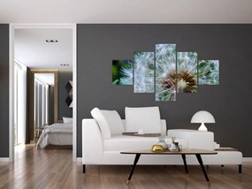 Obraz przekwitniętego dmuchawca (125x70 cm)
