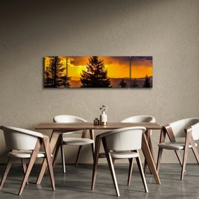 Obraz - drzewa iglaste (170x50 cm)