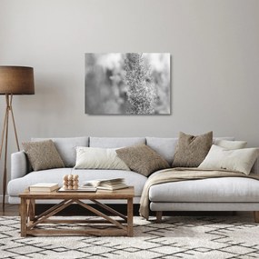 Obraz na szkle - Trawa pampasowa Boho (70x50 cm)