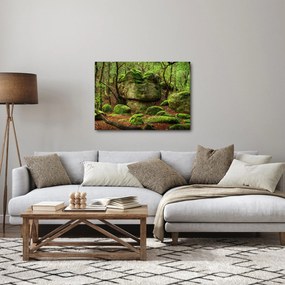 Obraz magicznego lasu (70x50 cm)