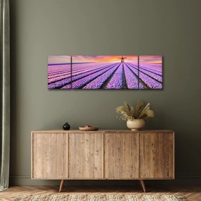 Obraz - farma kwiatów (170x50 cm)