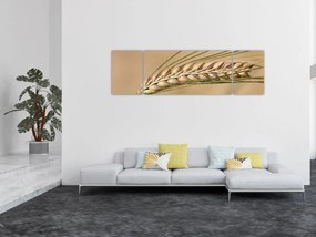 Obraz - Pszenica (170x50 cm)