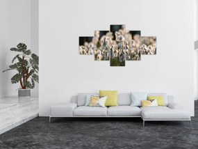 Obraz - Biała wełnianka (125x70 cm)