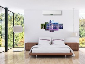 Obraz - Lewandowe pole (125x70 cm)