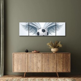 Obraz - Balon ze skrzydłami (170x50 cm)