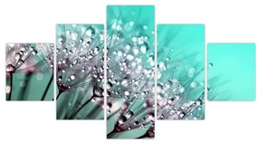 Obraz - zroszona roślina (125x70 cm)