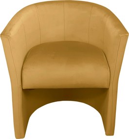 Fotel CLUB tkanina Welur elegancki fotel tapicerowany do salonu i gabinetu : Kolor tkaniny - VELVET - MG15
