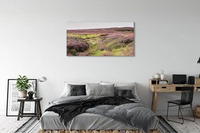 Obraz drukowany na płótnie Pole Wrzosów