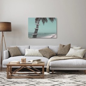 Obraz na szkle - Palma na Karaibach (70x50 cm)