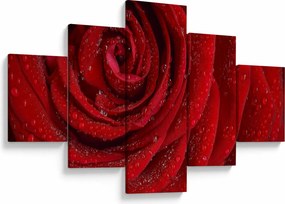 Obraz - szczegół róży (125x70 cm)