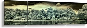 Obraz akwenu wodnego (170x50 cm)