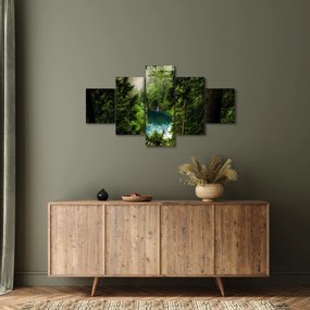 Obraz - Przestrzeń między drzewami (125x70 cm)