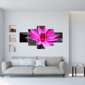 Obraz - różowy kwiat (125x70 cm)