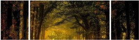 Obraz lasu (170x50 cm)
