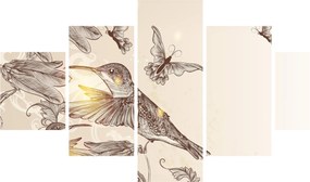 Obraz - Kolibry (125x70 cm)