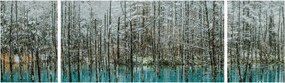 Obraz - Turkusowy staw, Biei, Japonia (170x50 cm)