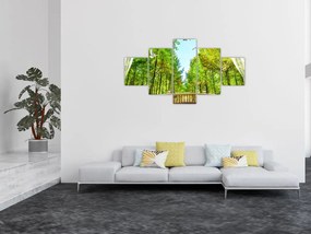 Obraz - Widok na las (125x70 cm)