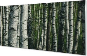 Panel szklany do Kuchni Białe Pnie Brzóz