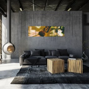 Obraz motyla na kwiatku (170x50 cm)