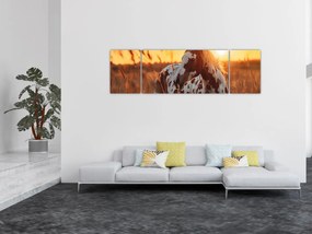 Obraz - Koń o zachodzie słońca (170x50 cm)