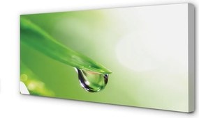 Obraz drukowany na płótnie Słoneczna Kropla na Liściu