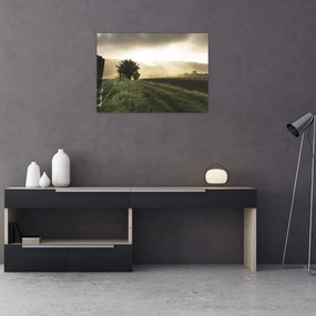Obraz na szkle - łąka (70x50 cm)