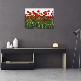 Obraz na szkle maków na wietrze (70x50 cm)