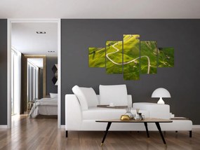 Obraz - Plateau Meadow (125x70 cm)