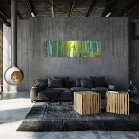 Obraz - Las bambusowy (170x50 cm)