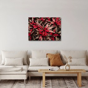 Obraz czerwonych płatków (70x50 cm)