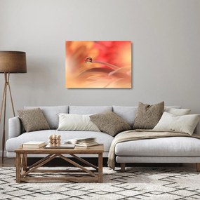 Obraz na szkle kwiecistej kropli rosy (70x50 cm)