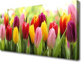 Obraz canvas Pastelowy Bukiet Tulipanów