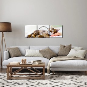 Obraz - Śpiący kotek (z zegarem) (90x30 cm)