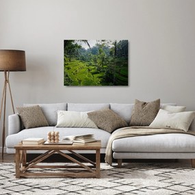 Obraz na szkle tarasów ryżowych Tegalalang, Bali (70x50 cm)